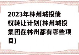 2023年林州城投债权转让计划(林州城投集团在林州都有哪些项目)