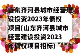 山东齐河县城市经营建设投资2023年债权项目(山东齐河县城市经营建设投资2023年债权项目招标)