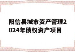 阳信县城市资产管理2024年债权资产项目
