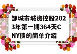 邹城市城资控股2023年第一期364天CNY债的简单介绍