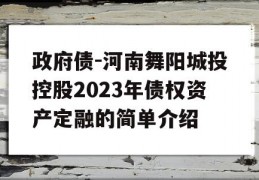 政府债-河南舞阳城投控股2023年债权资产定融的简单介绍