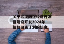 关于武汉阳逻经济开发区建设开发2024年债权融资计划的信息