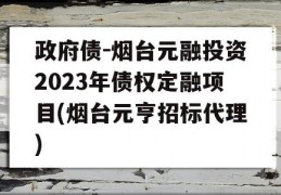 政府债-烟台元融投资2023年债权定融项目(烟台元亨招标代理)