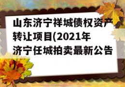 山东济宁祥城债权资产转让项目(2021年济宁任城拍卖最新公告)