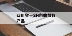 四川省一SN市收益权产品