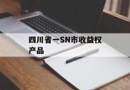 四川省一SN市收益权产品