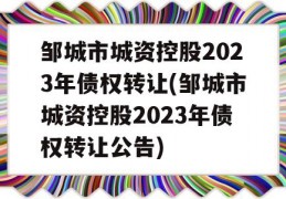 邹城市城资控股2023年债权转让(邹城市城资控股2023年债权转让公告)