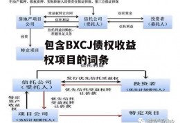 包含BXCJ债权收益权项目的词条