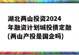 湖北两山投资2024年融资计划城投债定融(两山产投是国企吗)