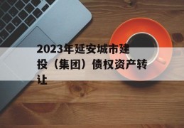 2023年延安城市建投（集团）债权资产转让