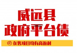 关于威海中基债权1号政府债定融的信息