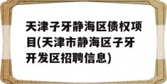 天津子牙静海区债权项目(天津市静海区子牙开发区招聘信息)