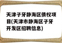 天津子牙静海区债权项目(天津市静海区子牙开发区招聘信息)