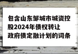 包含山东邹城市城资控股2024年债权转让政府债定融计划的词条