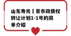 山东寿光昇景市政债权转让计划1-1号的简单介绍