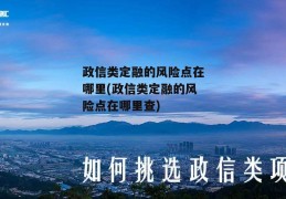 政信类定融的风险点在哪里(政信类定融的风险点在哪里查)