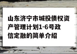 山东济宁市城投债权资产管理计划1-6号政信定融的简单介绍