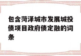 包含菏泽城市发展城投债项目政府债定融的词条