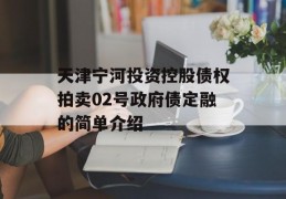 天津宁河投资控股债权拍卖02号政府债定融的简单介绍