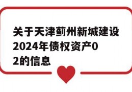 关于天津蓟州新城建设2024年债权资产02的信息