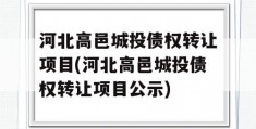 河北高邑城投债权转让项目(河北高邑城投债权转让项目公示)