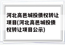 河北高邑城投债权转让项目(河北高邑城投债权转让项目公示)