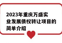 2023年重庆万盛实业发展债权转让项目的简单介绍