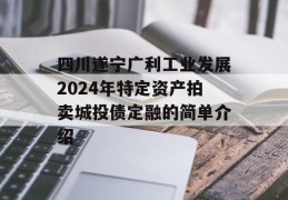 四川遂宁广利工业发展2024年特定资产拍卖城投债定融的简单介绍