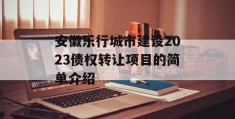 安徽乐行城市建设2023债权转让项目的简单介绍