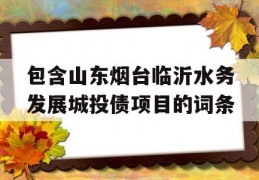 包含山东烟台临沂水务发展城投债项目的词条