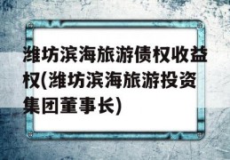 潍坊滨海旅游债权收益权(潍坊滨海旅游投资集团董事长)