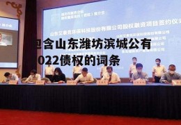 包含山东潍坊滨城公有2022债权的词条