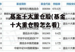 基金十大重仓股(基金十大重仓股怎么看)