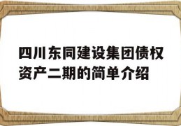 四川东同建设集团债权资产二期的简单介绍