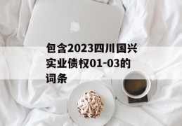 包含2023四川国兴实业债权01-03的词条