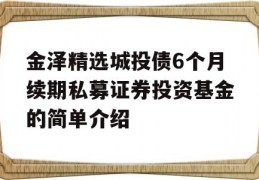 金泽精选城投债6个月续期私募证券投资基金的简单介绍