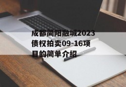 成都简阳融城2023债权拍卖09-16项目的简单介绍