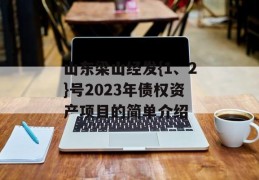 山东梁山经发{1、2}号2023年债权资产项目的简单介绍