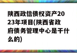 陕西政信债权资产2023年项目(陕西省政府债务管理中心是干什么的)