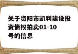 关于资阳市凯利建设投资债权拍卖01-10号的信息