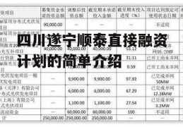 四川遂宁顺泰直接融资计划的简单介绍