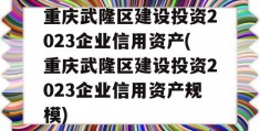 重庆武隆区建设投资2023企业信用资产(重庆武隆区建设投资2023企业信用资产规模)