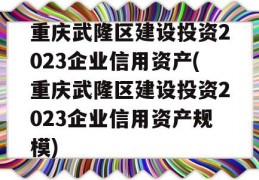 重庆武隆区建设投资2023企业信用资产(重庆武隆区建设投资2023企业信用资产规模)