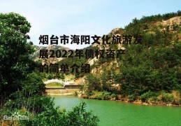 烟台市海阳文化旅游发展2022年债权资产的简单介绍