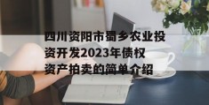 四川资阳市蜀乡农业投资开发2023年债权资产拍卖的简单介绍