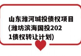 山东潍河城投债权项目(潍坊滨海国投2021债权转让计划)