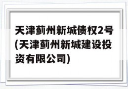 天津蓟州新城债权2号(天津蓟州新城建设投资有限公司)