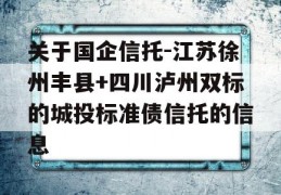 关于国企信托-江苏徐州丰县+四川泸州双标的城投标准债信托的信息