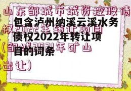 包含泸州纳溪云溪水务债权2022年转让项目的词条