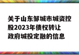 关于山东邹城市城资控股2023年债权转让政府城投定融的信息